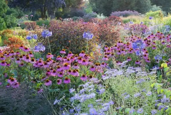 An august garden displaying a variety of flowers in shades of red, blue and purple.
