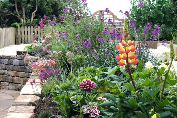 Garden Aftercare Rockery Planting