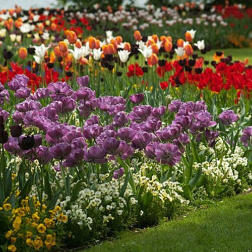 Outdoor Living Gardens Blog Expert Tips And Ideas For Your Outdoor Outdoor Living Gardens Blog Expert Tips And Ideas For Your Outdoor
