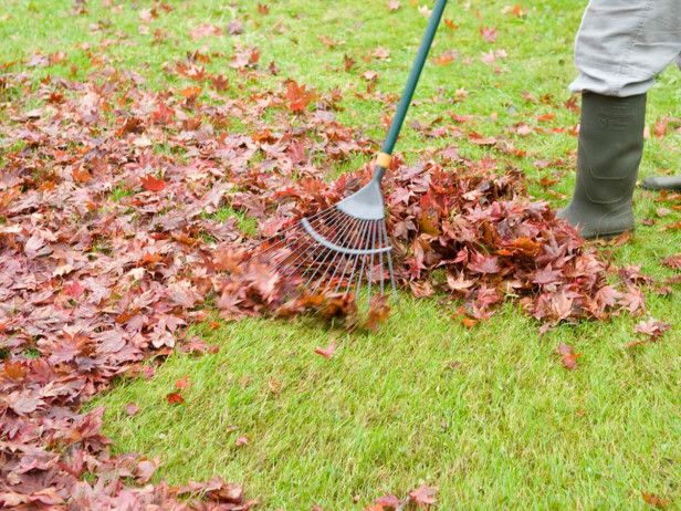 Lawn Care during the Winter Months